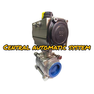 Pneumatic Actuator KOSAPLUS Type RD-65 C/W Ball Valve 3pc 1½