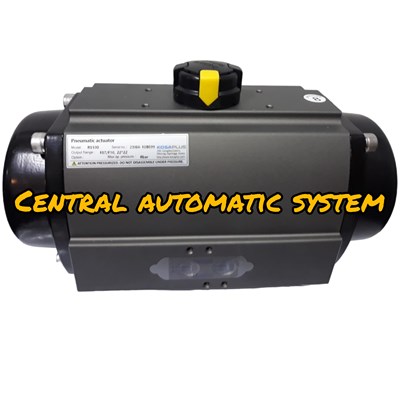 Pneumatic Actuator KOSA Type RS-100